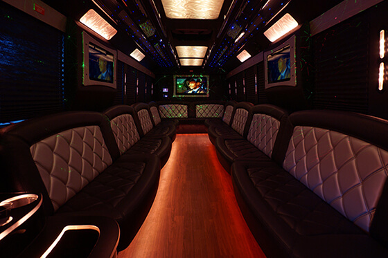 fiber optic lights